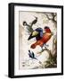 Four Birds in Wood-Herman Henstenburgh-Framed Giclee Print