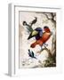 Four Birds in Wood-Herman Henstenburgh-Framed Giclee Print