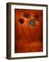 Four Blue Flowers in Copper Grass-Robert Cattan-Framed Photographic Print