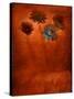 Four Blue Flowers in Copper Grass-Robert Cattan-Stretched Canvas