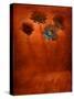 Four Blue Flowers in Copper Grass-Robert Cattan-Stretched Canvas