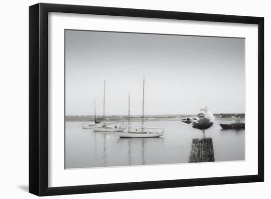 Four Boats & Seagull-Moises Levy-Framed Photographic Print