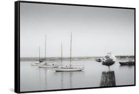 Four Boats & Seagull-Moises Levy-Framed Stretched Canvas