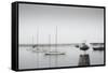 Four Boats & Seagull-Moises Levy-Framed Stretched Canvas