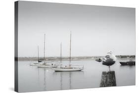 Four Boats & Seagull-Moises Levy-Stretched Canvas