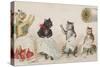 Four Busy Cats Sewing-American School-Stretched Canvas