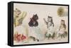 Four Busy Cats Sewing-American School-Framed Stretched Canvas