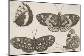 Four Butterflies-Wenceslaus Hollar-Mounted Giclee Print