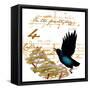 Four Calling Birds-Janice Gaynor-Framed Stretched Canvas