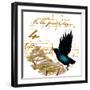 Four Calling Birds-Janice Gaynor-Framed Art Print