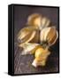 Four Cape Gooseberries (Physalis)-Philip Webb-Framed Stretched Canvas