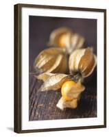 Four Cape Gooseberries (Physalis)-Philip Webb-Framed Photographic Print