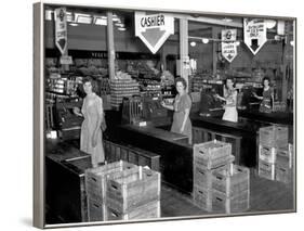 Four Cash Registers at a New Supermarket, Tulip Town Market, 1945 in Oak Ridge, Tennessee-null-Framed Photo