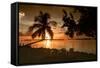 Four Chairs at Sunset - Florida-Philippe Hugonnard-Framed Stretched Canvas