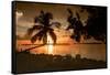 Four Chairs at Sunset - Florida-Philippe Hugonnard-Framed Stretched Canvas