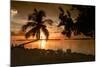 Four Chairs at Sunset - Florida-Philippe Hugonnard-Mounted Photographic Print