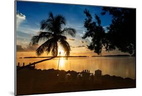 Four Chairs at Sunset - Florida-Philippe Hugonnard-Mounted Photographic Print