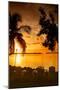 Four Chairs at Sunset - Florida-Philippe Hugonnard-Mounted Photographic Print