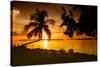 Four Chairs at Sunset - Florida-Philippe Hugonnard-Stretched Canvas