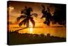 Four Chairs at Sunset - Florida-Philippe Hugonnard-Stretched Canvas