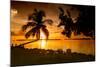 Four Chairs at Sunset - Florida-Philippe Hugonnard-Mounted Photographic Print