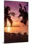 Four Chairs at Sunset - Florida-Philippe Hugonnard-Mounted Photographic Print