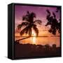 Four Chairs at Sunset - Florida-Philippe Hugonnard-Framed Stretched Canvas