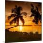 Four Chairs at Sunset - Florida-Philippe Hugonnard-Mounted Photographic Print