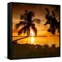 Four Chairs at Sunset - Florida-Philippe Hugonnard-Framed Stretched Canvas