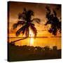 Four Chairs at Sunset - Florida-Philippe Hugonnard-Stretched Canvas