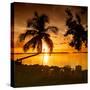 Four Chairs at Sunset - Florida-Philippe Hugonnard-Stretched Canvas