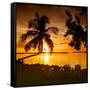 Four Chairs at Sunset - Florida-Philippe Hugonnard-Framed Stretched Canvas