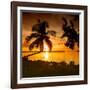 Four Chairs at Sunset - Florida-Philippe Hugonnard-Framed Photographic Print