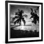 Four Chairs at Sunset - Florida-Philippe Hugonnard-Framed Photographic Print