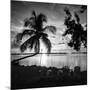 Four Chairs at Sunset - Florida-Philippe Hugonnard-Mounted Photographic Print