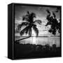 Four Chairs at Sunset - Florida-Philippe Hugonnard-Framed Stretched Canvas