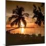 Four Chairs at Sunset - Florida-Philippe Hugonnard-Mounted Photographic Print