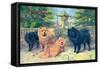 Four Champion Chow-Chows-null-Framed Stretched Canvas