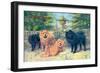 Four Champion Chow-Chows-null-Framed Premium Giclee Print