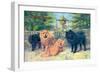 Four Champion Chow-Chows-null-Framed Premium Giclee Print