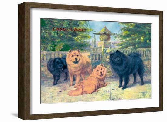 Four Champion Chow-Chows-null-Framed Art Print