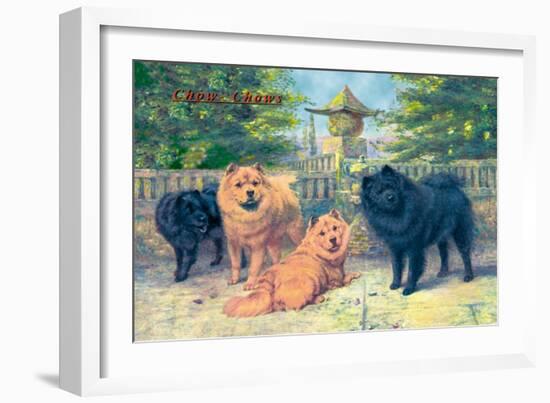 Four Champion Chow-Chows-null-Framed Art Print