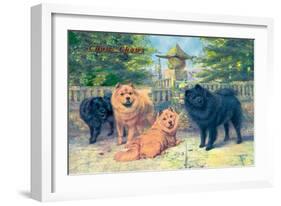 Four Champion Chow-Chows-null-Framed Art Print