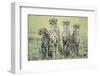 Four Cheetahs-Paul Souders-Framed Premium Photographic Print