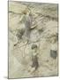 Four Children at the Seashore, 1910 (W/C on Paper)-Arthur Rackham-Mounted Giclee Print