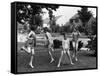 Four Children in Bathing Suits Playing with Water Sprinkler and Running Through Spray on Front Lawn-Alfred Eisenstaedt-Framed Stretched Canvas