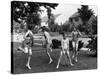 Four Children in Bathing Suits Playing with Water Sprinkler and Running Through Spray on Front Lawn-Alfred Eisenstaedt-Stretched Canvas