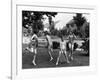 Four Children in Bathing Suits Playing with Water Sprinkler and Running Through Spray on Front Lawn-Alfred Eisenstaedt-Framed Photographic Print