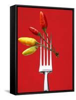 Four Chili Peppers on a Fork-Marc O^ Finley-Framed Stretched Canvas
