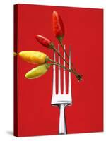 Four Chili Peppers on a Fork-Marc O^ Finley-Stretched Canvas